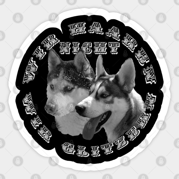 Huskies - wir haaren nicht, wir glitzern Sticker by MyRedBlack